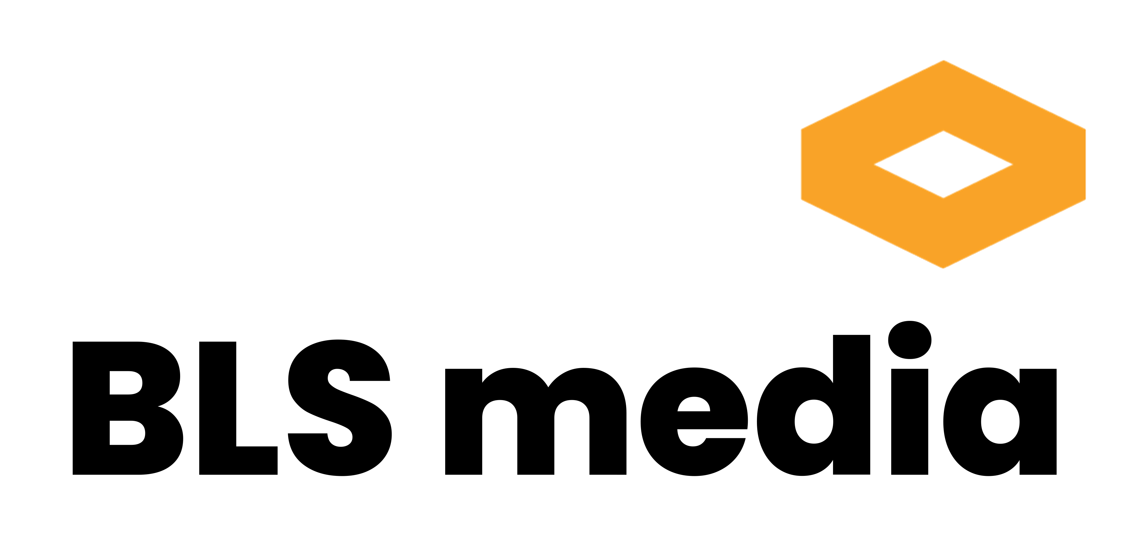 Logo BLS media