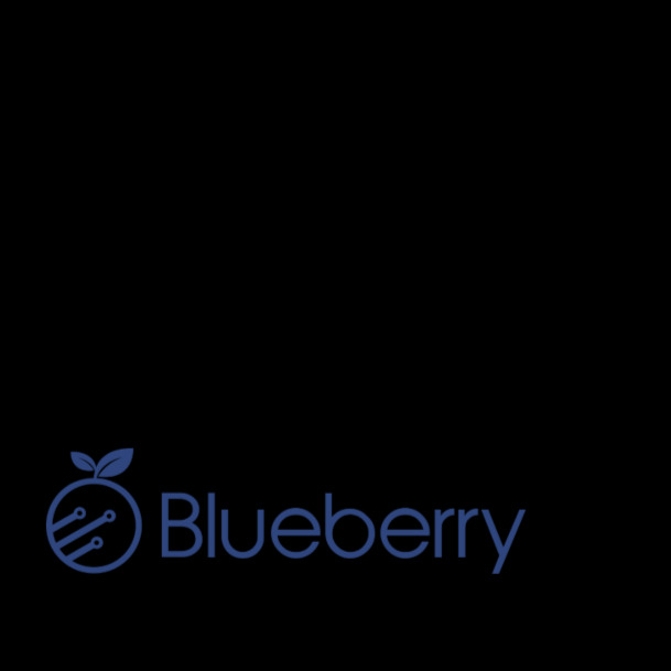 Logo Blueberry IT