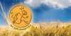 Logo DER BRÖTCHENPRINZ