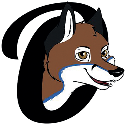 Logo Computerservice Foxx