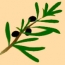 Logo Dr. med.