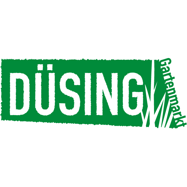 Logo Düsing