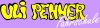 Logo Ulrich