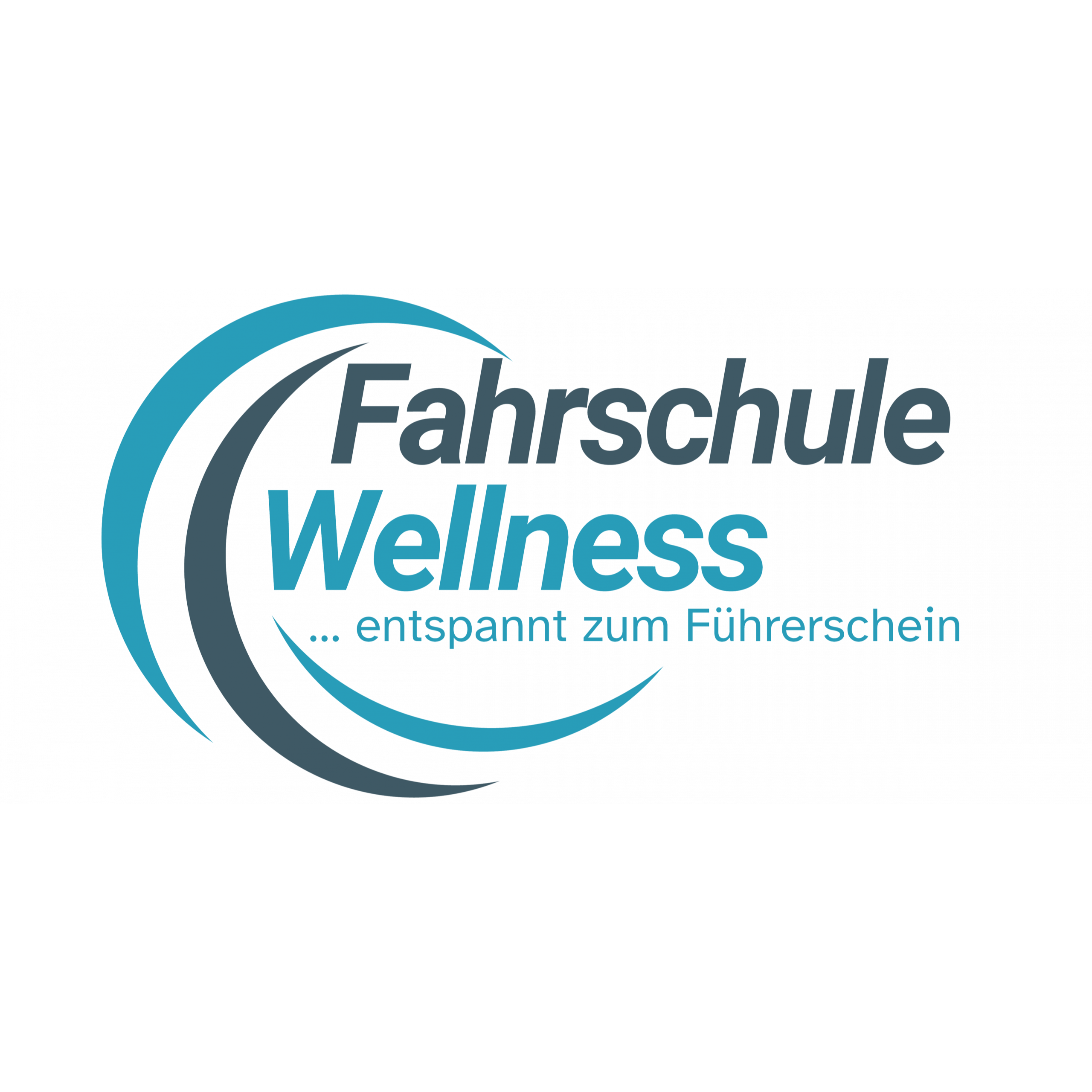 Logo Fahrschule Wellness