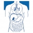 Logo Herrn Prof. Tromm