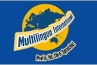 Logo Multilingua International