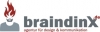 Logo braindinx