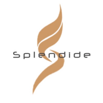 Logo Splendide International Models