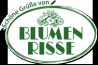 Logo Blumen Risse