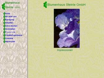 https://www.blumen-steinle.de