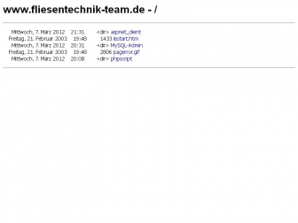 http://fliesentechnik-team.de