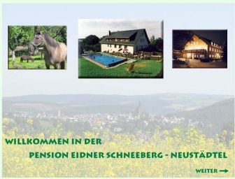 http://pension-eidner.de