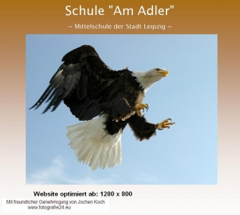 http://schuleamadler.de