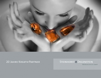 http://steinhorst-degenstein.de