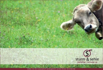http://sturm-und-sehle.de