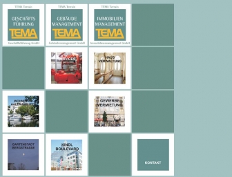 http://tema-group.de